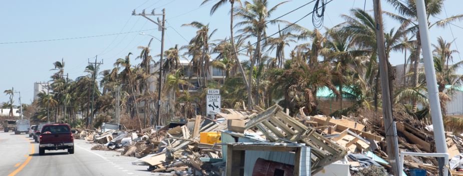 Emergency Management Consulting